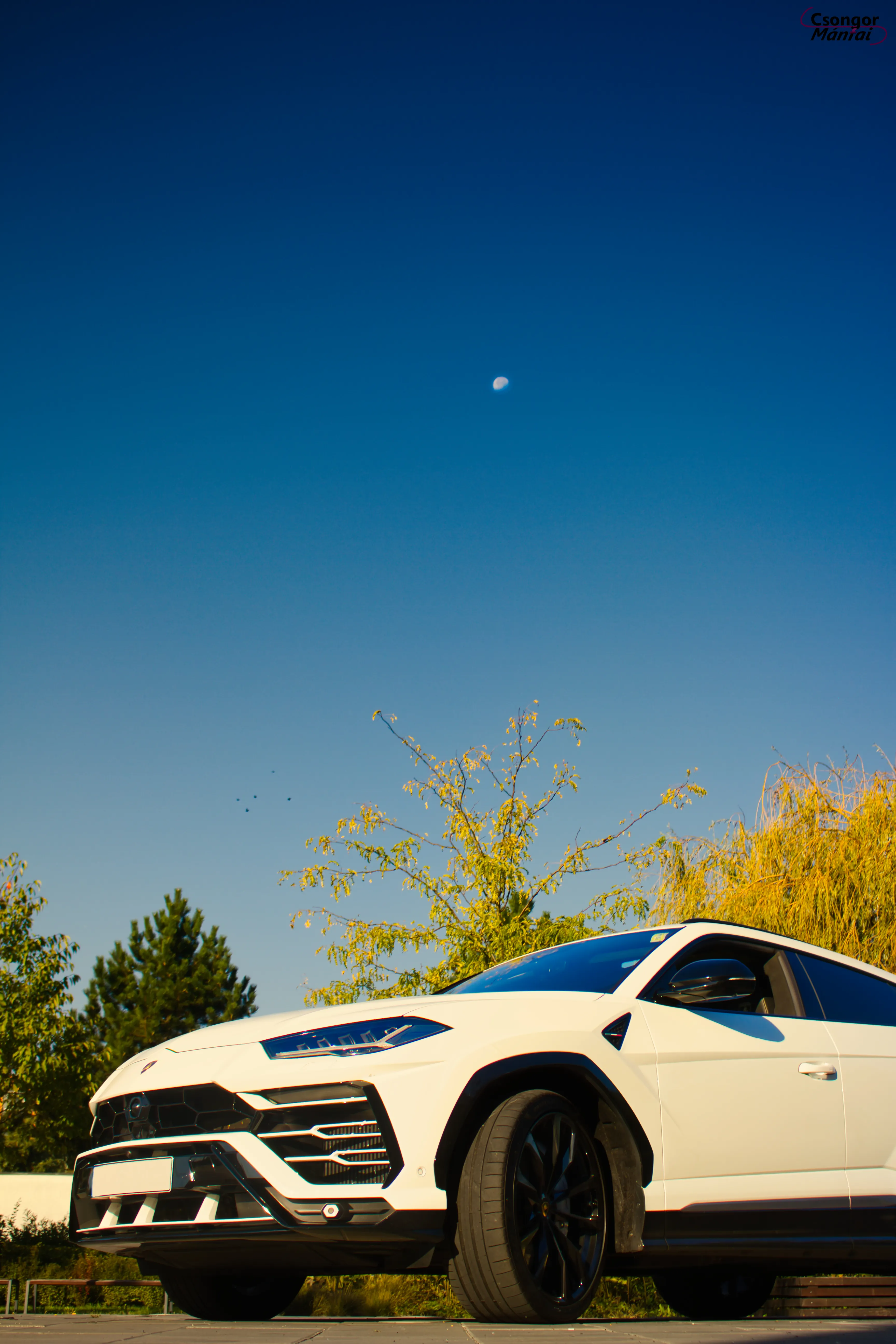 Lamborghini Urus 19