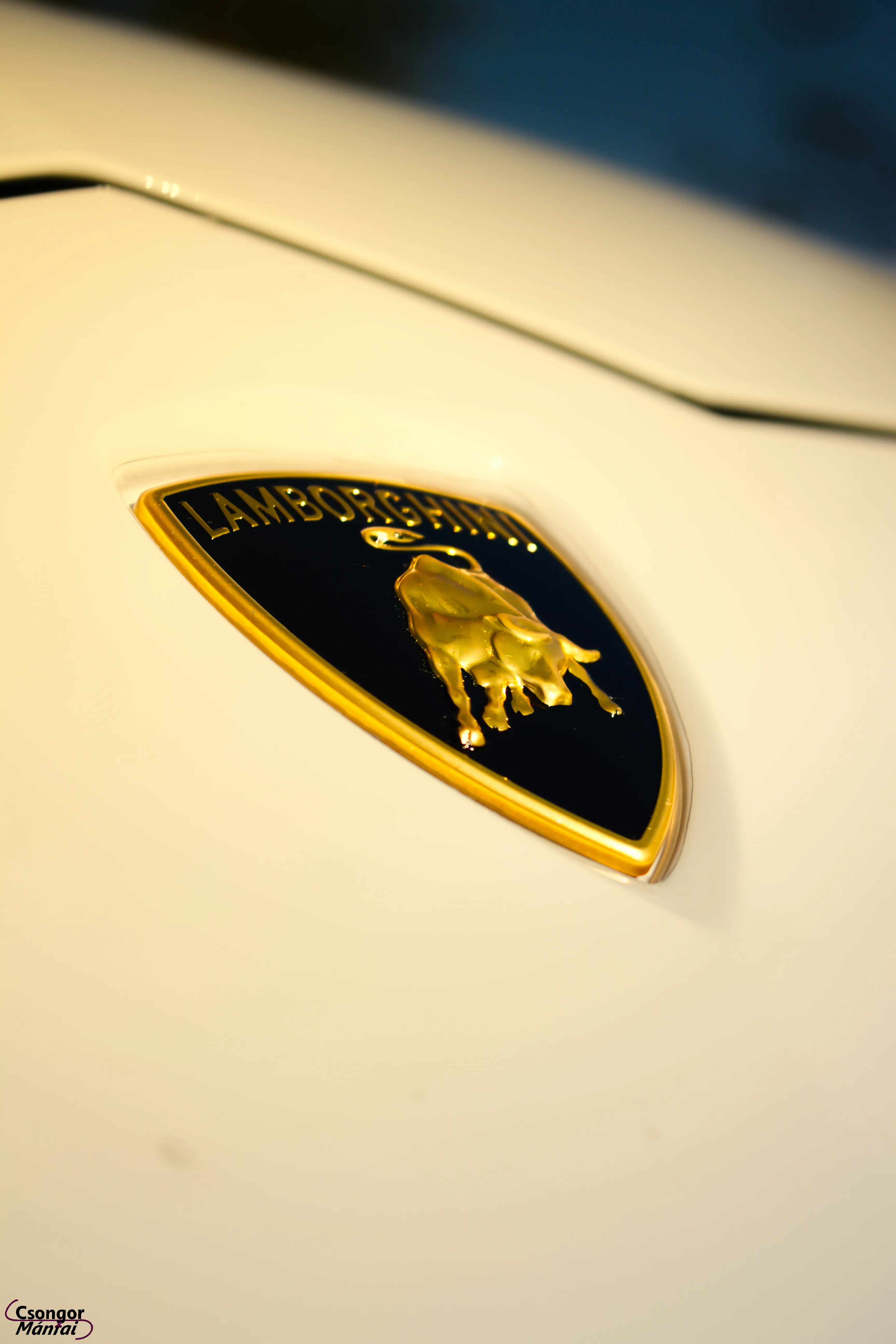 Lamborghini Urus 26
