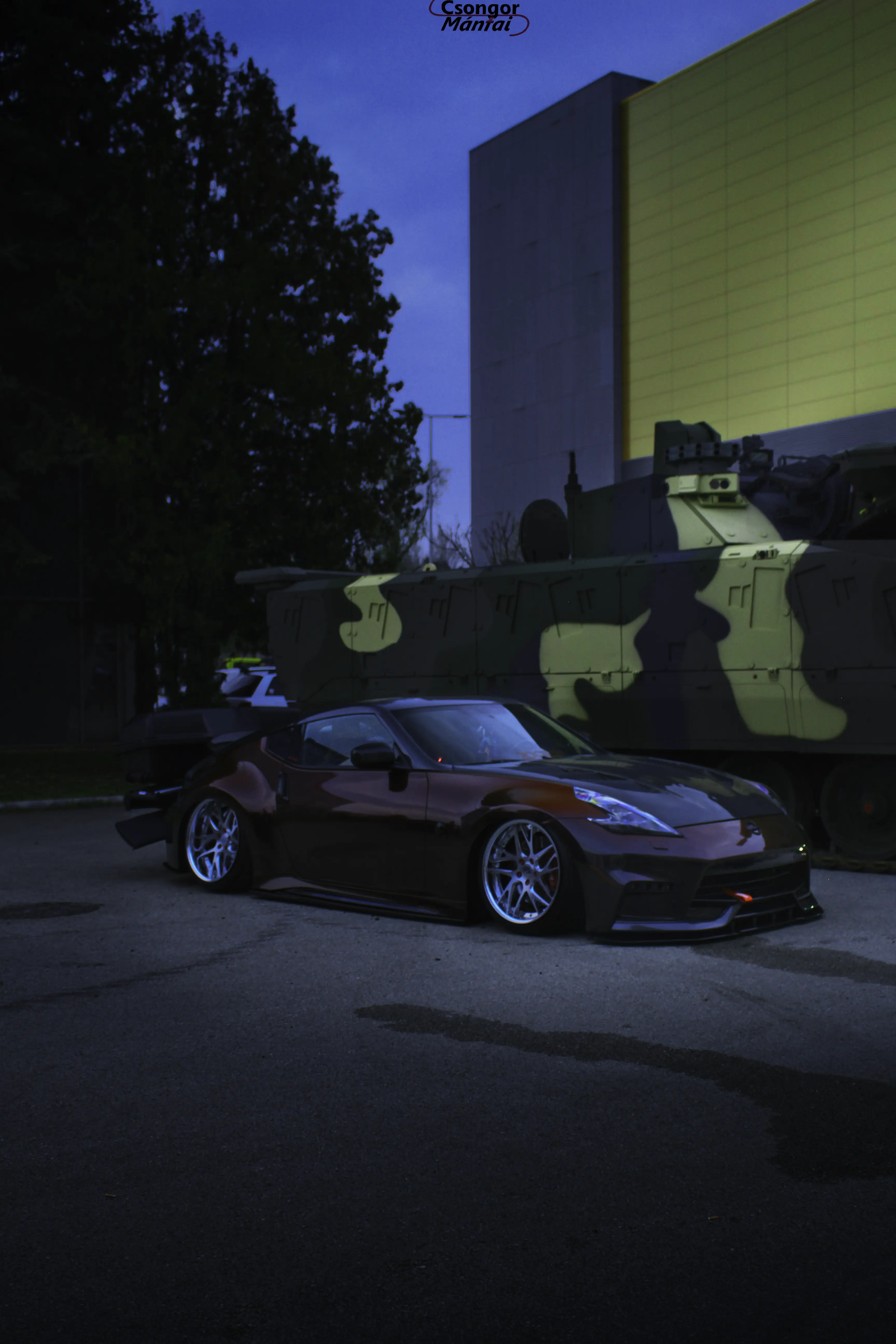 AMTS 370Z 31